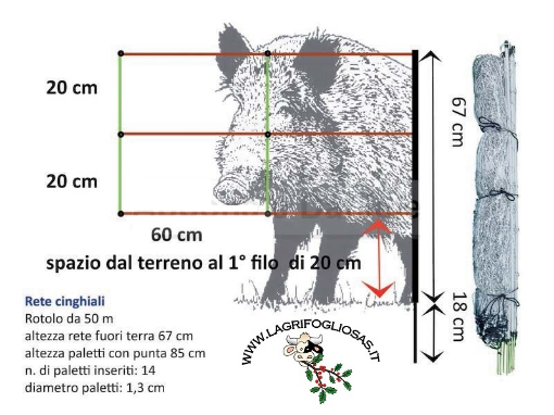 Immagine di RETE CINGHIALI 67cm F.T. 50M CON LINEE VERTICALI SEMIRIGIDE