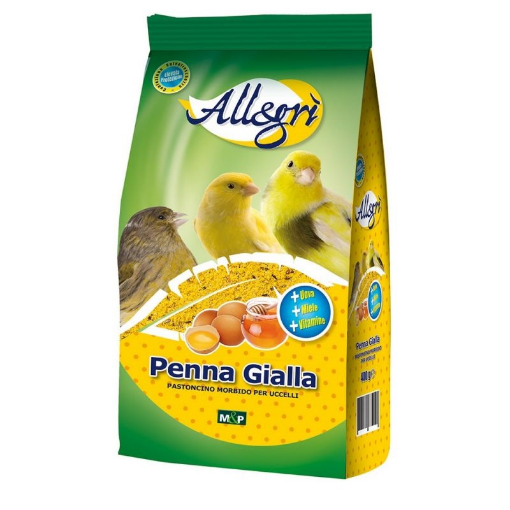 Immagine di Penna GIALLA 400gr - ALLEGRI