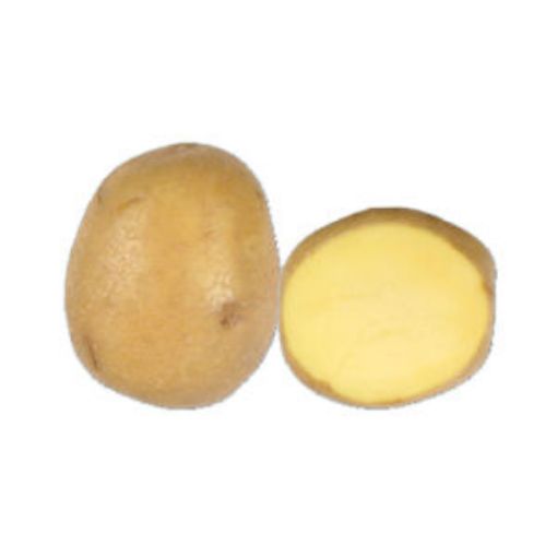 Immagine di PATATE SIFRA da SEME 35-55 sacco 25kg Olanda Pasta Bianca